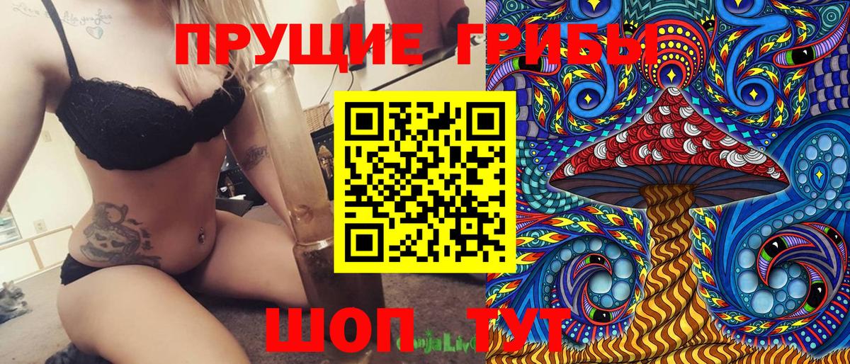 Родники  Псилоцибиновые грибы Psilocybine cubensis  Вход с VPN 